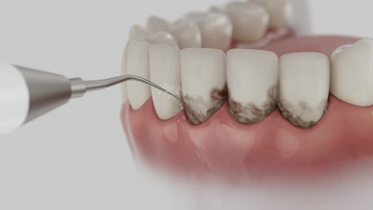 Reliable Dental contractor in Hart, MI by Dentist Open Now